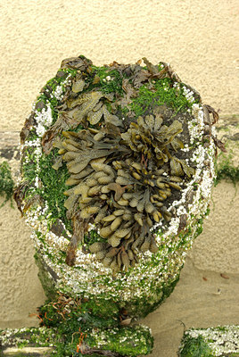 BUITEN BEELD Foto: 67249