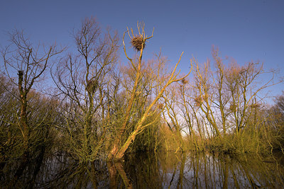 BUITEN BEELD Foto: 67275