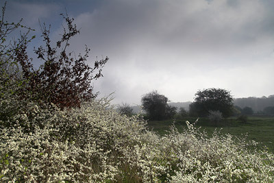 BUITEN BEELD Foto: 67280