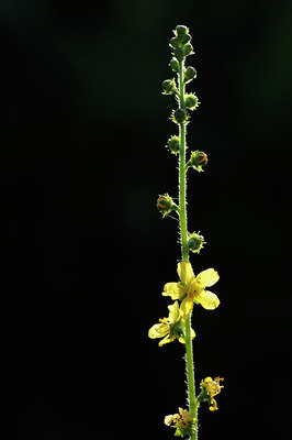 BUITEN BEELD Foto: 67289