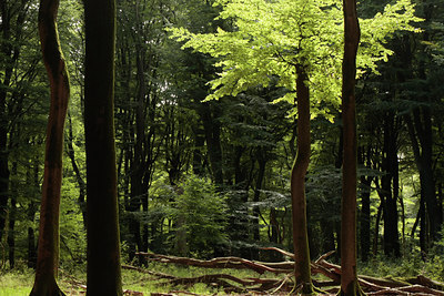 BUITEN BEELD Foto: 67295