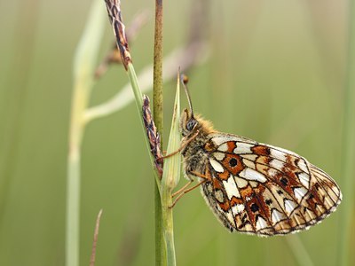 BUITEN BEELD Foto: 67375