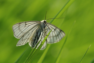 BUITEN BEELD Foto: 67380