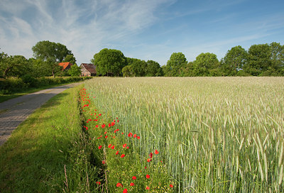 BUITEN BEELD Foto: 67386