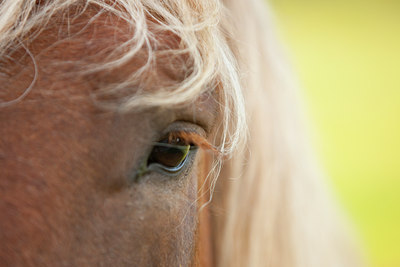 BUITEN BEELD Foto: 67389