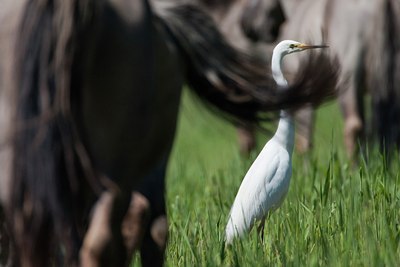 BUITEN BEELD Foto: 67403