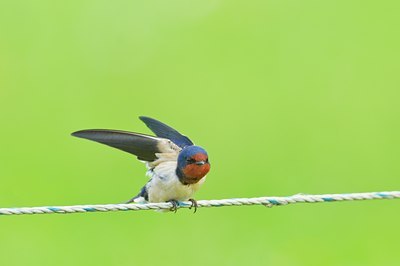 BUITEN BEELD Foto: 67453