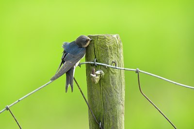 BUITEN BEELD Foto: 67459