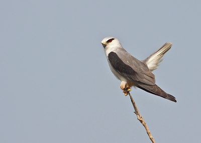 BUITEN BEELD Foto: 67474