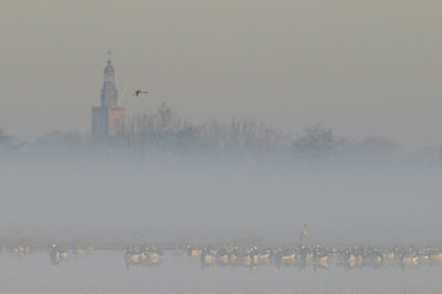 BUITEN BEELD Foto: 67478