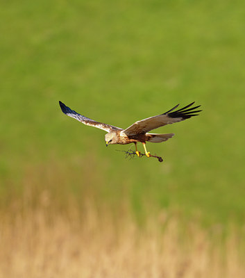 BUITEN BEELD Foto: 67485