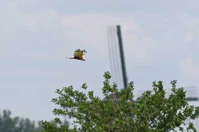 BUITEN BEELD Foto: 67497