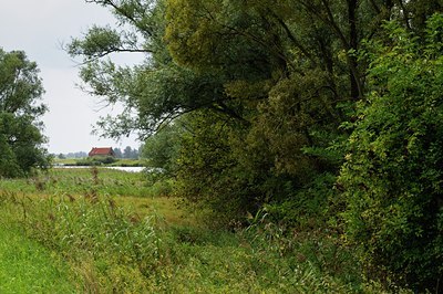 BUITEN BEELD Foto: 67542