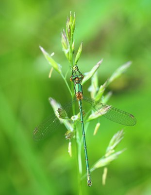 BUITEN BEELD Foto: 67584