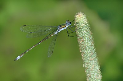 BUITEN BEELD Foto: 67586