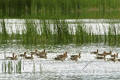 BUITEN BEELD Foto: 67608