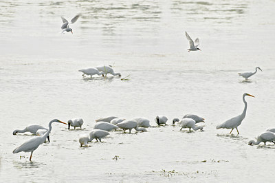 BUITEN BEELD Foto: 67612