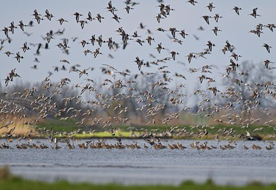 BUITEN BEELD Foto: 67637