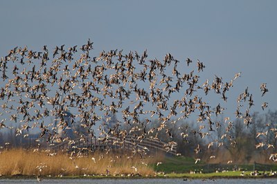 BUITEN BEELD Foto: 67642