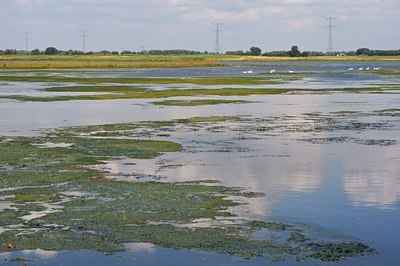 BUITEN BEELD Foto: 67675