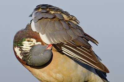 BUITEN BEELD Foto: 67676