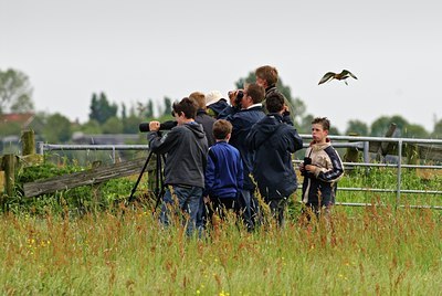 BUITEN BEELD Foto: 67683