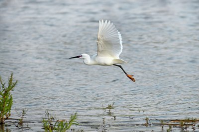 BUITEN BEELD Foto: 67700
