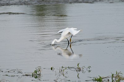 BUITEN BEELD Foto: 67704