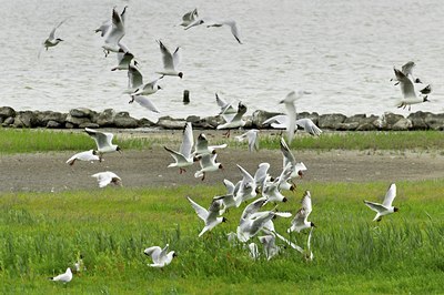BUITEN BEELD Foto: 67739