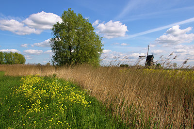 BUITEN BEELD Foto: 67742