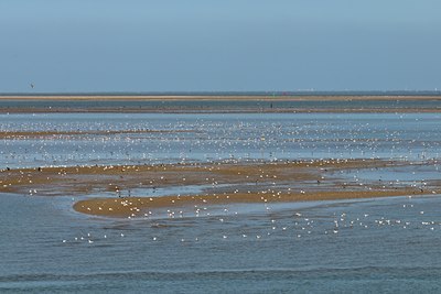 BUITEN BEELD Foto: 67751