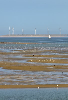 BUITEN BEELD Foto: 67754