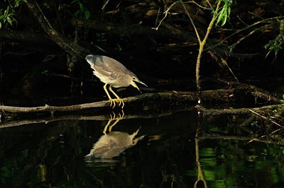 BUITEN BEELD Foto: 67766