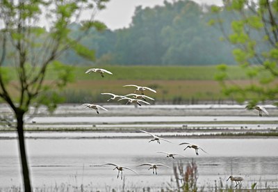 BUITEN BEELD Foto: 67768