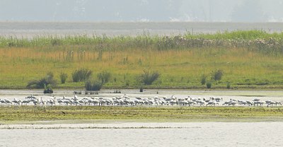 BUITEN BEELD Foto: 67769
