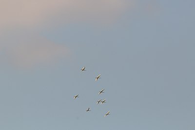 BUITEN BEELD Foto: 67795