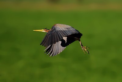 BUITEN BEELD Foto: 67828