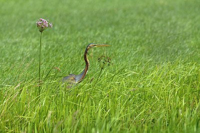 BUITEN BEELD Foto: 67831