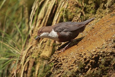 BUITEN BEELD Foto: 67836