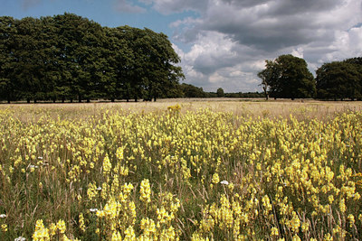BUITEN BEELD Foto: 67849