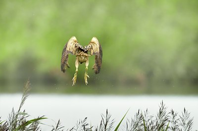 BUITEN BEELD Foto: 67875