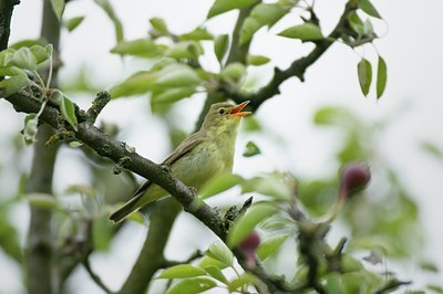 BUITEN BEELD Foto: 67889