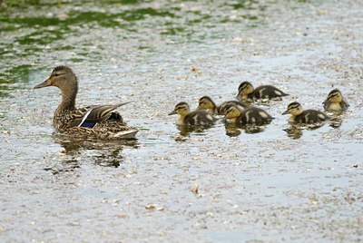 BUITEN BEELD Foto: 67931