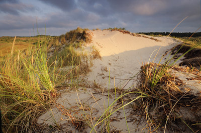 BUITEN BEELD Foto: 67947