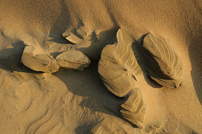 BUITEN BEELD Foto: 67963