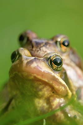 BUITEN BEELD Foto: 67976