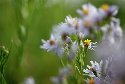 BUITEN BEELD Foto: 68058
