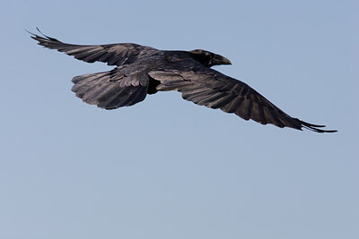 BUITEN BEELD Foto: 68146