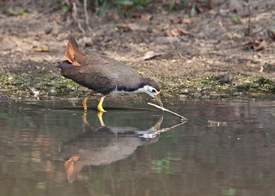 BUITEN BEELD Foto: 68151