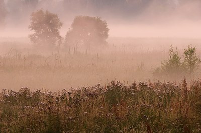 BUITEN BEELD Foto: 68160